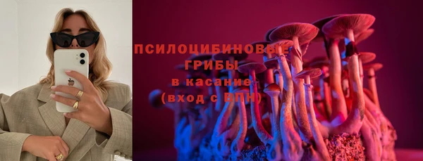 дмт Алагир