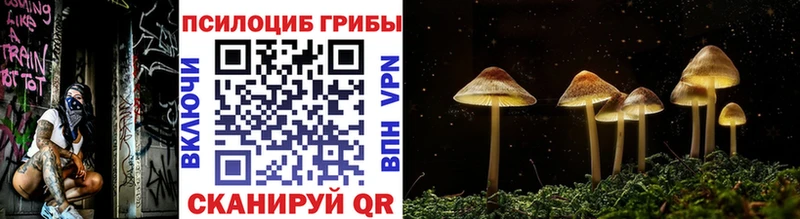 Галлюциногенные грибы GOLDEN TEACHER  Игра 